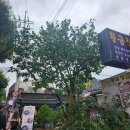 고민끝에 가본 &#34;르플랑 에떼(le plein ete)&#34; 팝업스토어 (팝업기간: ~10/13) (Feat. &#34;내차조향소 자판기...
