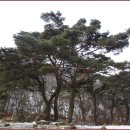 [1월 20일(일요일)]원주 치악산 향로봉-비로봉 종주산행 이미지