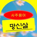 [사주 용어] 망신살 이미지