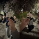 봄봄 - 시흥시 오이도2길 28 | 봄봄