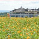 분황사주차장 이미지