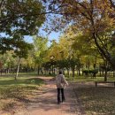 경주시립도서관 화장실 이미지