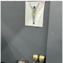 더뉴복싱 이미지