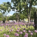 매머드익스프레스서울숲아이코닉점 | 매머드익스프레스 서울숲아이코닉점, 서울숲 산책 후 든든하게 즐긴 곡물쉐이크 후기