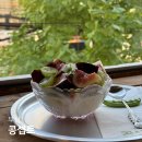 노랑콩두부 | 부산 광안리 카페 콩셉트 은행나무 단풍뷰 카페 재방문 가을화채 후기