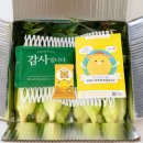 산지감성 | 제주 해남 프리미엄 초당옥수수 특품 미니 국산 옥수수 산지직송 후기