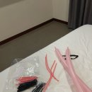 W. 결혼 준비 : 결혼 택일, 홀투어, 웨딩촬영 준비, 웨딩피부관리, 리쥬란 쥬베룩 스킨부스터