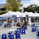 진도이어라 이미지