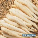 더덕 이미지