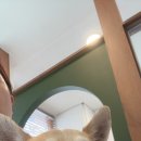 ZOO동물병원 이미지