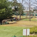 서수원칠보체육공원 이미지