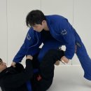 안양본주짓수 | [공지] 안양주짓수, 주짓수 스파링 하면 이런 느낌? 실제 후기들 모음집