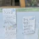 카키플라워수원