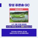 골프데이 이미지