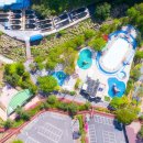 천동물놀이장 이미지