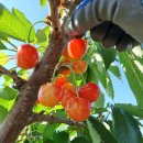 시후농장 이미지