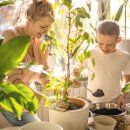 더건강한집 이미지