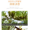 자연을담은생약 이미지