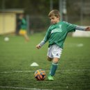 토토스토어 이미지