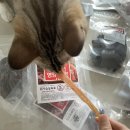 네이월 펫푸드 | 네이월 애견간식 내돈내산 후기 | 5년째 단골인 이유