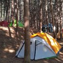 우산리입구 이미지