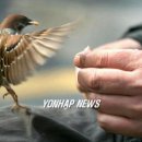 참새식품 이미지