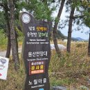남도삼백리길(10코스) | 바다 단풍 칠면초 절정_남도 삼백리길 순천만 갈대밭 남파랑길 1코스 위치
