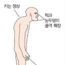 인체생리학 심화학습 이미지