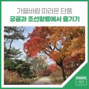 가을바람 따라온 단풍, 궁궐과 조선왕릉에서 즐기기 이미지