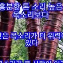 사랑가 이미지