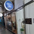인셀덤샤인 이미지