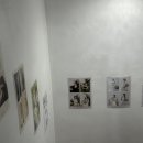 대해로 | 포항 펫프로필 스튜디오 사진관 추천 하담포토 후기