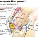 Re:^^: Knee Arthroscopy 관련 입니다~~ 이미지