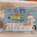 댕댕이 만찬 이미지
