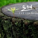 은혜이불 - 영도구 하나길 744 | 은혜이불
