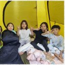 블랙 타이거 태권도장 이미지