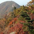 가평오렌지캠프 이미지