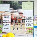 고강보리밥 이미지