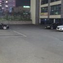 바다다조개다앤팝쿠아 이미지