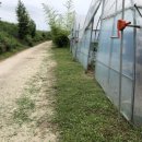 마송농장 이미지