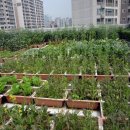 신수동 주민센터 이미지