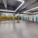 아트복싱체육관 이미지