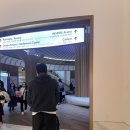 별에별 | 아기랑 호캉스) 인스파이어 리조트. 오로라 + 밥집. 조식 내돈내산 후기