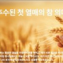 하늘과열매(주) 이미지