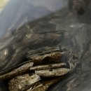더휴먼홀딩스(주) | 강아지 눈물사료 추천 헬시20 휴먼그레이드 소프트사료 후기