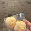 레파스베이커스삼각본점 이미지