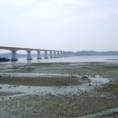 대포갯벌 이미지