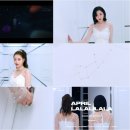 진솔 스타뉴스