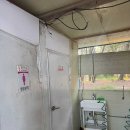 춘장대솔내음캠핑장 | 아름다운 오션뷰 갯벌체험 가능한 최적의 가성비 캠핑장
