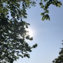 들꽃향기 사랑방 이미지